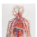 에스엘메디칼 이미지