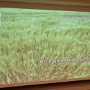 마음치유시낭송 | 詩쓰기詩치유詩낭송ㅡ호서아카데미시문학