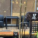 강변오케이주유소 | 23년 1월에 다녀온 후쿠오카 아소산 2일차 여행기록