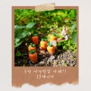 햇살가득 | 춘천 브런치카페 29페이지 | 햇살 가득한 감성 브런치 데이트 후기