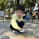 약대공원 이미지