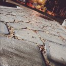 처갓집펜션 이미지