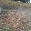 자연 제1농장 이미지