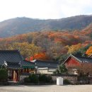 선운사 - 1268 | 선운사