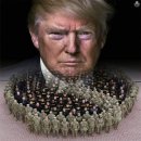 대한민국 국민 중에 네사라/게사라에 대해 알고 있는 사람들은 얼마나 될까? 이미지