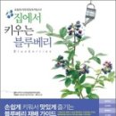 도서출판 블루베리