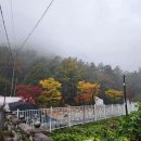 청풍호오토캠핑장 이미지