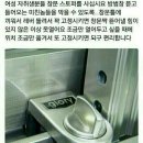 혼자 사는 여자 자취생 필수템.jpg 이미지