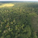 새운농장 이미지