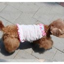 1148 쇼핑하우