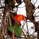 우리두리농장 이미지