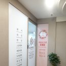 케이디펫 이미지
