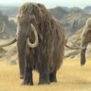 태영솔라 | 참고용