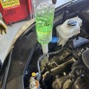 현대자동차왜관점 이미지