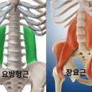 바디앤솔세종 - 세종특별자치시 나성북1로 12 | 바디앤솔세종