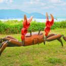 장경희농장 이미지