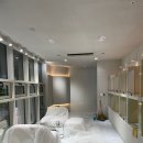 포더독스 강아지 강서 마곡점 이미지