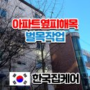 단계은행아파트(60015) | 서울 아파트 키큰나무·은행나무 벌목 전지작업 가지치기과정