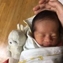 이영남 | 아임베베관악동작금천 산후도우미 이영남 관리사님 찐 후기입니다~~^^