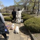 산책갈까? 이미지