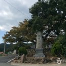 남도헬스타운 이미지