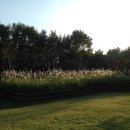 하단동1207 이미지