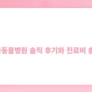 금동광고 | 분당 홍금동물병원 솔직 후기와 진료비 총정리