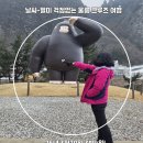 내일관광여행사㈜ | [울릉도 3박4일 패키지 여행 후기]-범서여행사 2탄