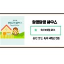 시청,용인대역 | 용인 고기집 슬로가든 삼겹살 추천 및 베이커리카페 방문후기