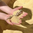 벅스네 | 인천 곤충박물관 와일드벅스 후기, 체험까지 완벽!