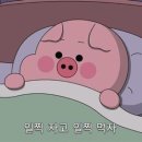 라운지 알트 이미지