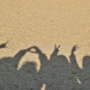 김가오가 이미지