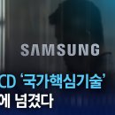 ﻿[단독]삼성 LCD ‘국가핵심기술’ 500억에 넘겼다 | 뉴스A 이미지