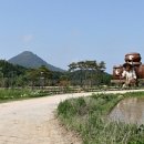 도원리마을회관 이미지