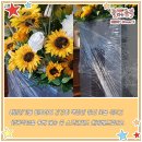 해바라기노래연습장 이미지