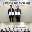 도리라이프 이미지