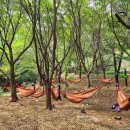 좌구산휴양림 명상의집 이미지