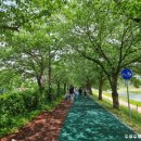 죽림옻칠공예 - 남원시 산책길 8 | 죽림옻칠공예
