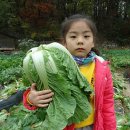 유안농장 이미지