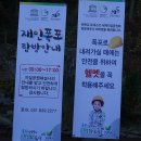 재인폭포 출렁다리를 건너 폭포앞까지 다녀오며 국화축제도 관람 (2020.10.18.일) 이미지