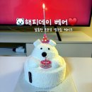 해피데이 | 투썸 곰돌이 케이크 해피데이 베어 후기