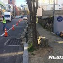 월봉로 이미지