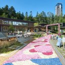 스포츠타운길 L 이미지