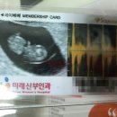 미래산부인과의원 이미지