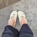 행복양말 | 여름필수품 쾌적함의 정석 발가락덧신 프로암스 발가락양말 후기