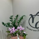 필라테스(재활운동/야간) 이미지