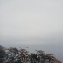 전망이있는곳 | 바다 전망이 특색있는 포항풀빌라 후기글.