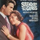 초원의 빛 | 윌리엄 워즈워드- 초원의 빛 Splendor in the Grass