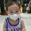 (주)지호 네이버블로그