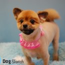 도그스케치 이미지